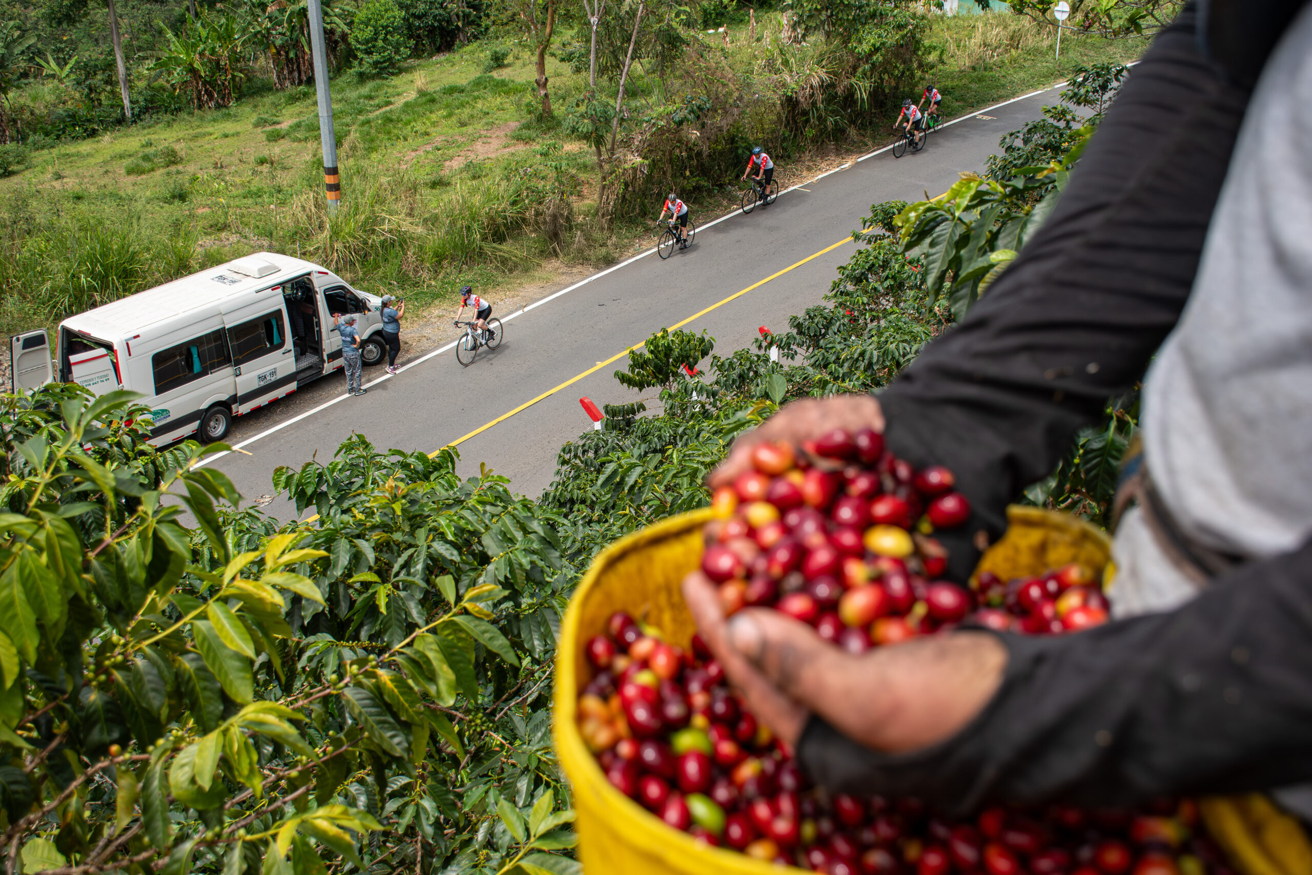 Paisaje Cultural Cafetero Tour (Coffee Culture Landscape)