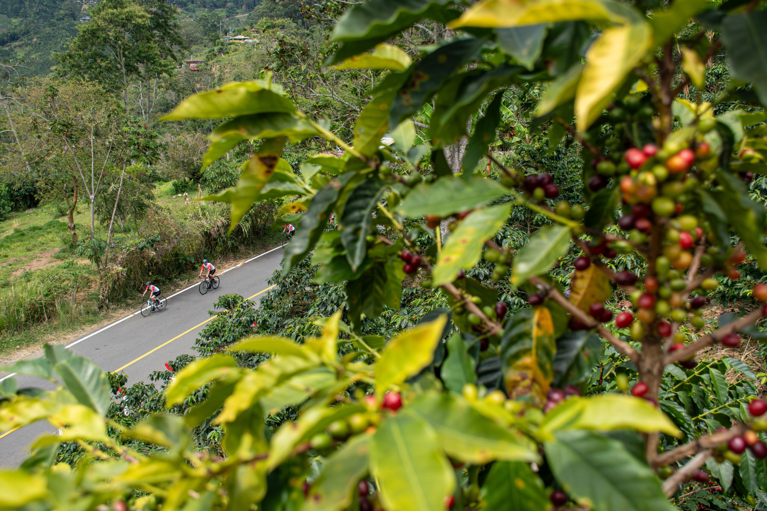 Parque del Café Adventure in Montenegro, Quindío