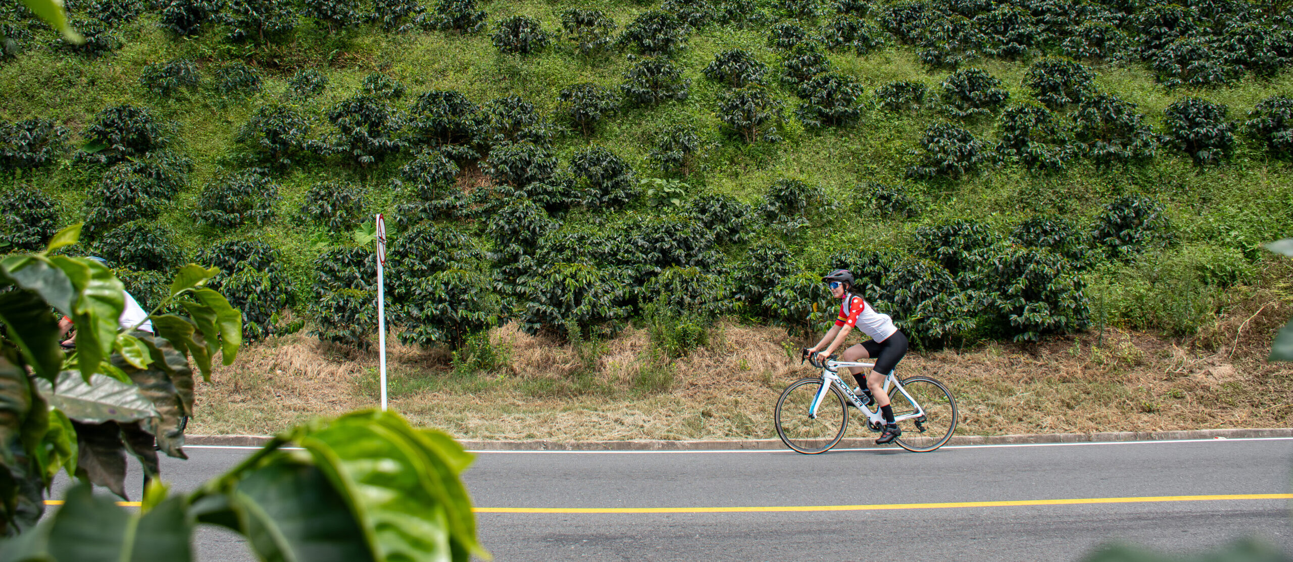 Cycling tour non-cyclist partner