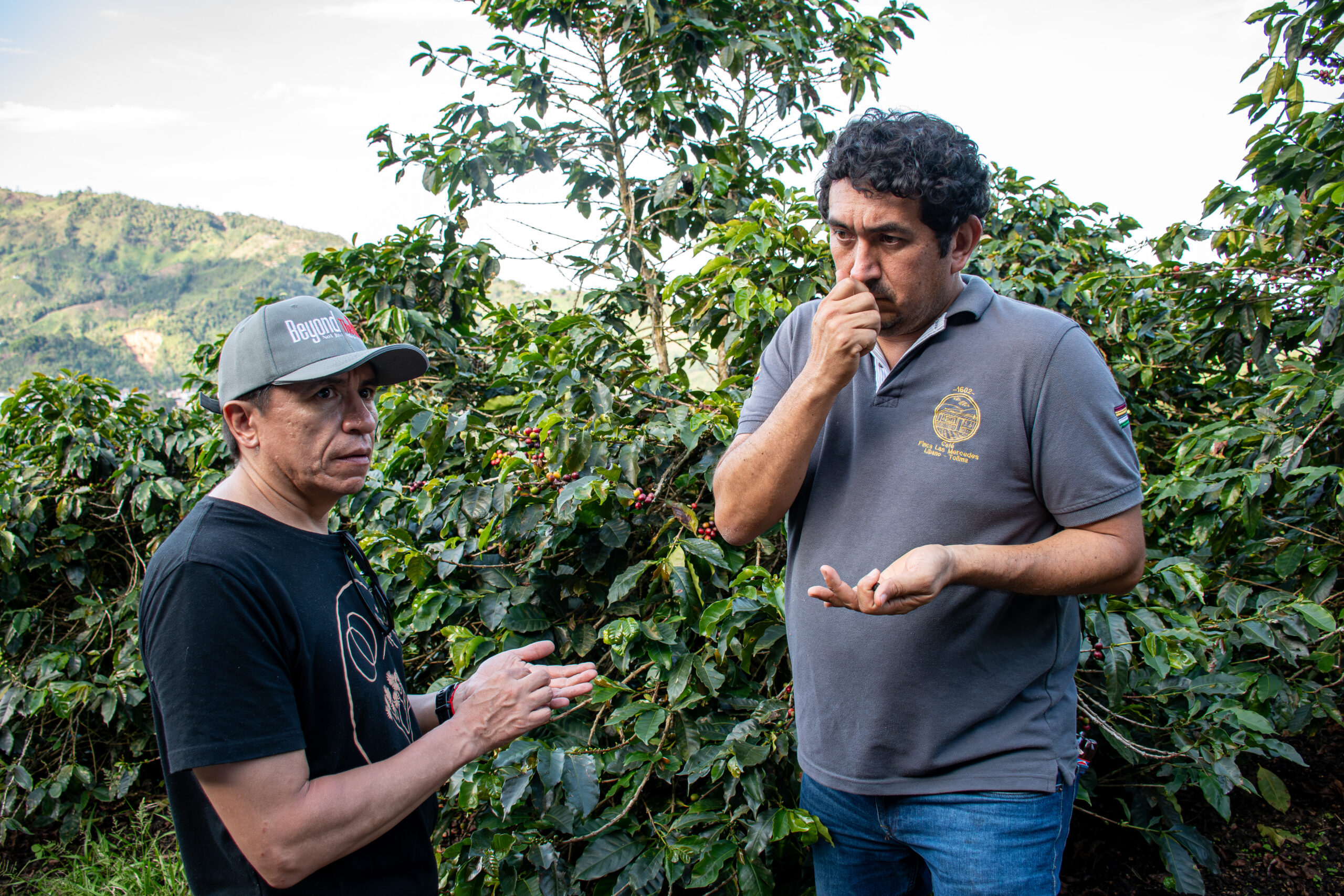 Visitor of the Land of Coffee tour, coffee region cycling in Colombia