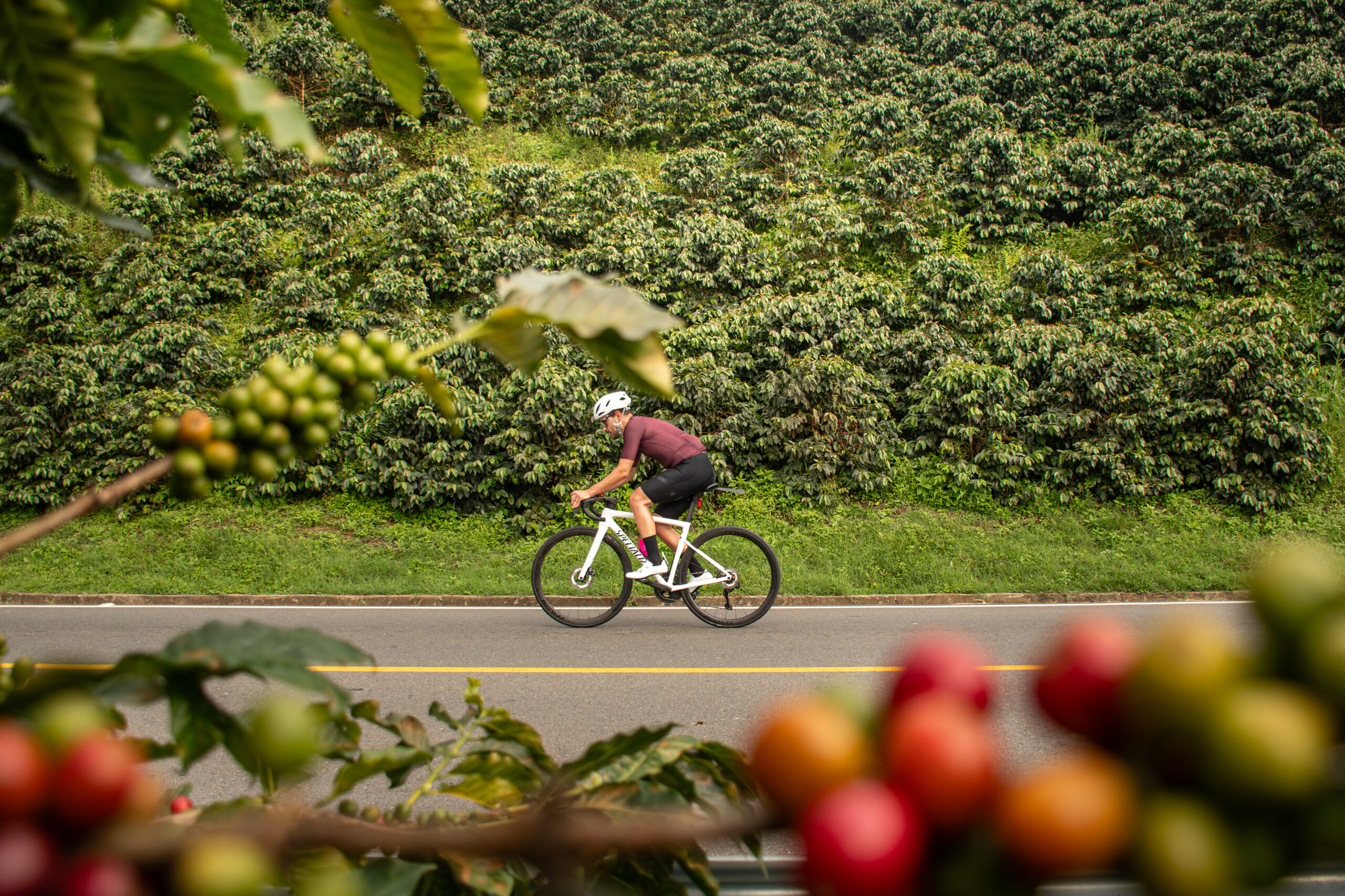 A Cyclist’s Guide to Colombia’s Coffee Region