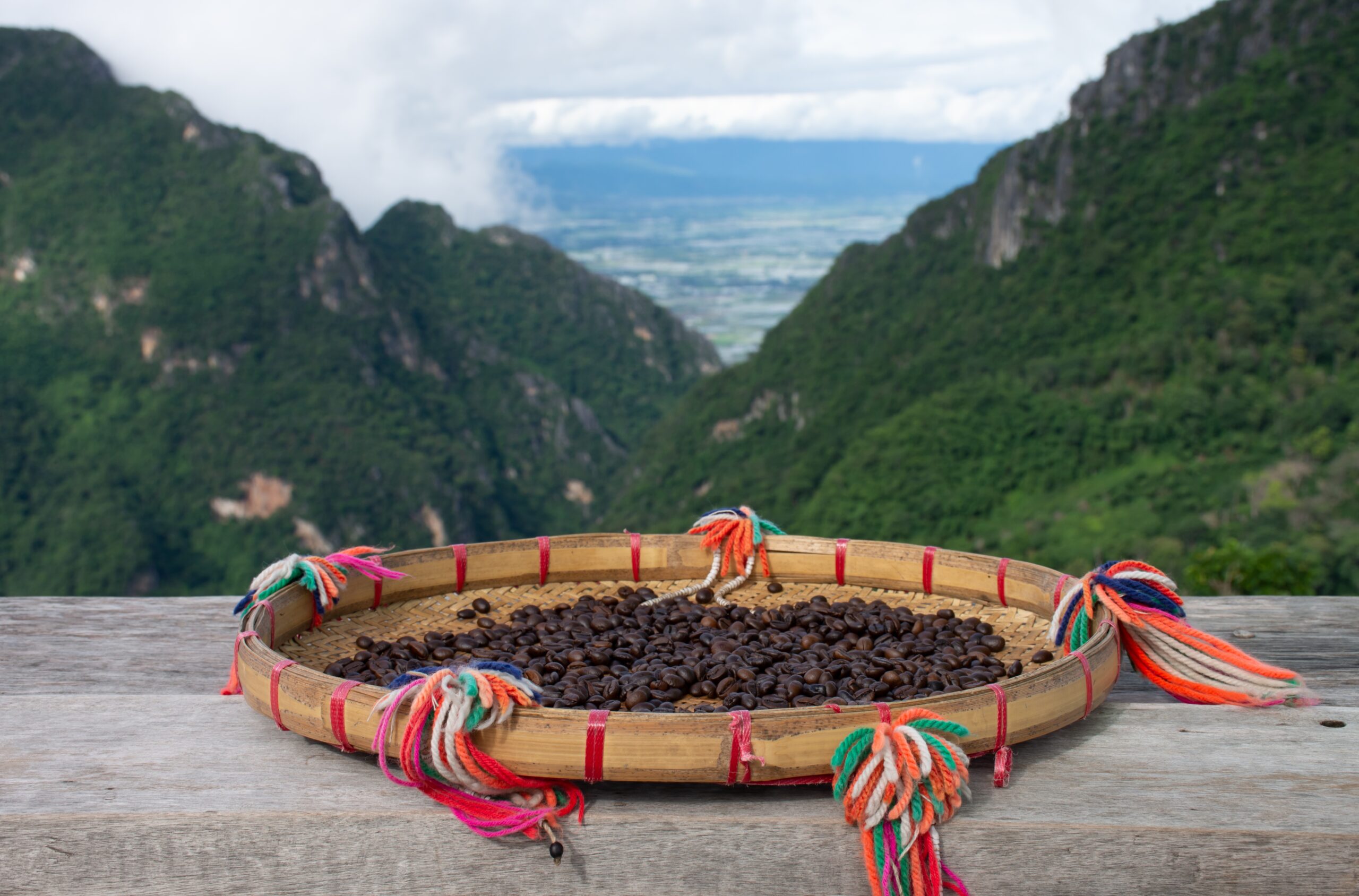 Eje cafetero cycling, Coffee plantations and Colombian landscapes along the road