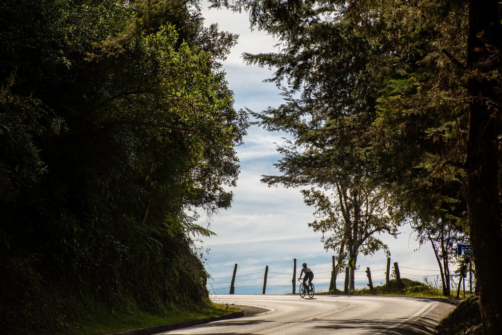 Silhouette of a cyclist riding along a quiet, tree-lined paved road on a women's bike tour in Colombia.