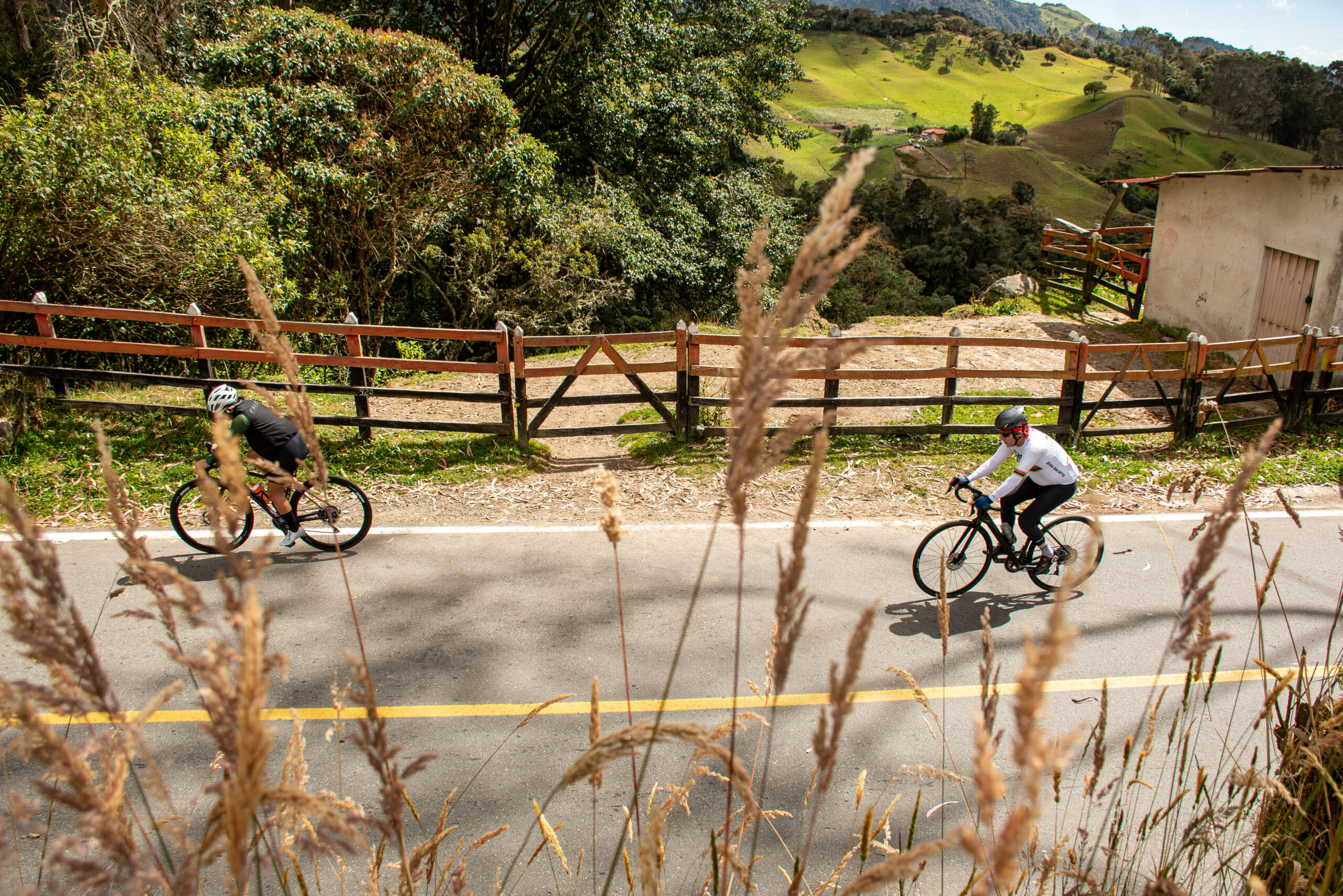 Two road cyclists training together on a sunny mountain road surrounded by green fields for the Alto de Letras climb.