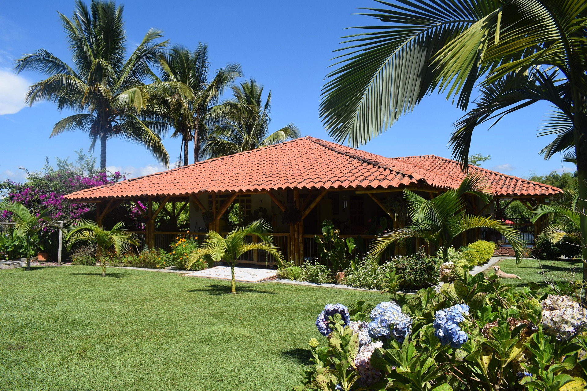 Traditional coffee hacienda with red tile roof, guadua bamboo pillars, and palm trees in Colombia's Eje Cafetero.